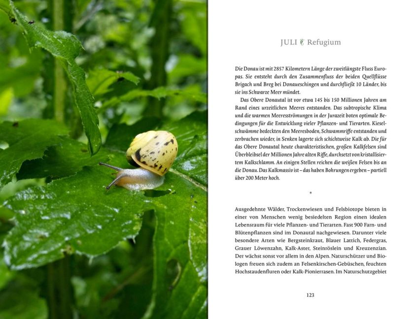 additionalImage14