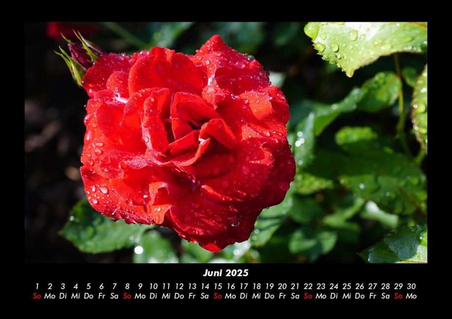 additionalImage10
