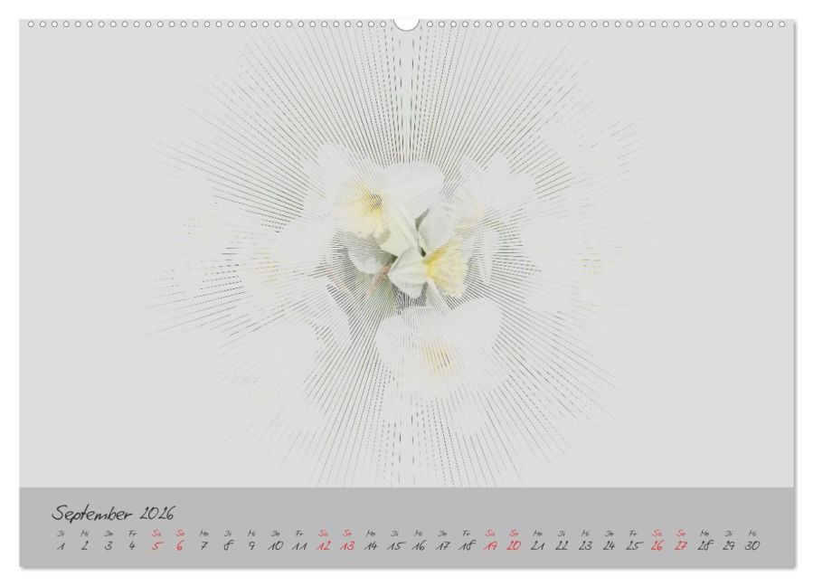 additionalImage13