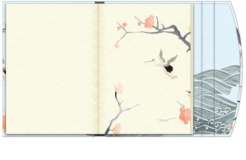 additionalImage1