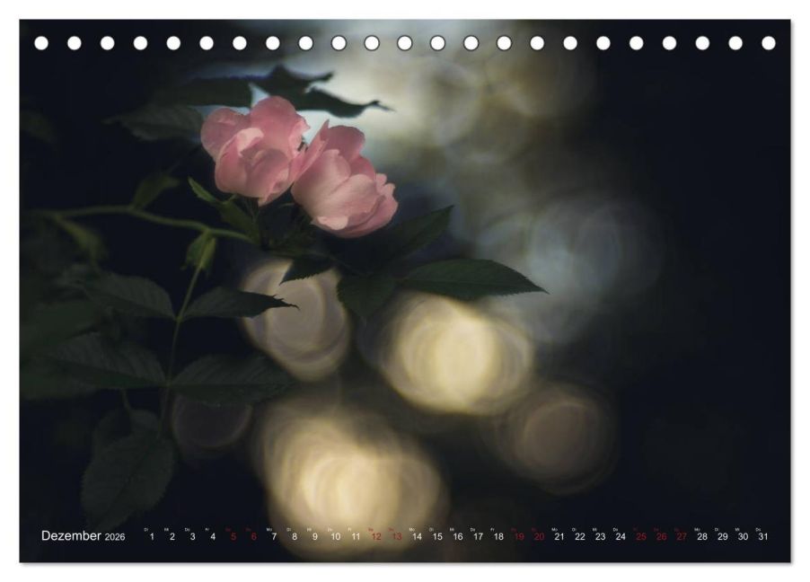 additionalImage4