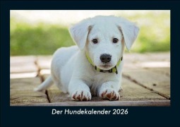 Cover-Bild zum Titel 'Der Hundekalender 2026 Fotokalender DIN A5' von 'Tobias Becker'