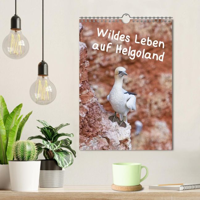 additionalImage1