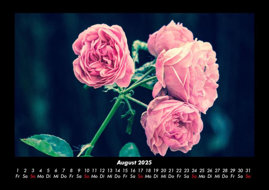 additionalImage12