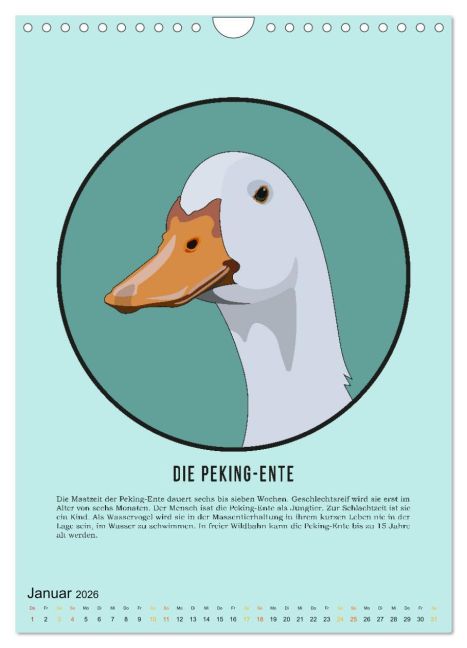 additionalImage6