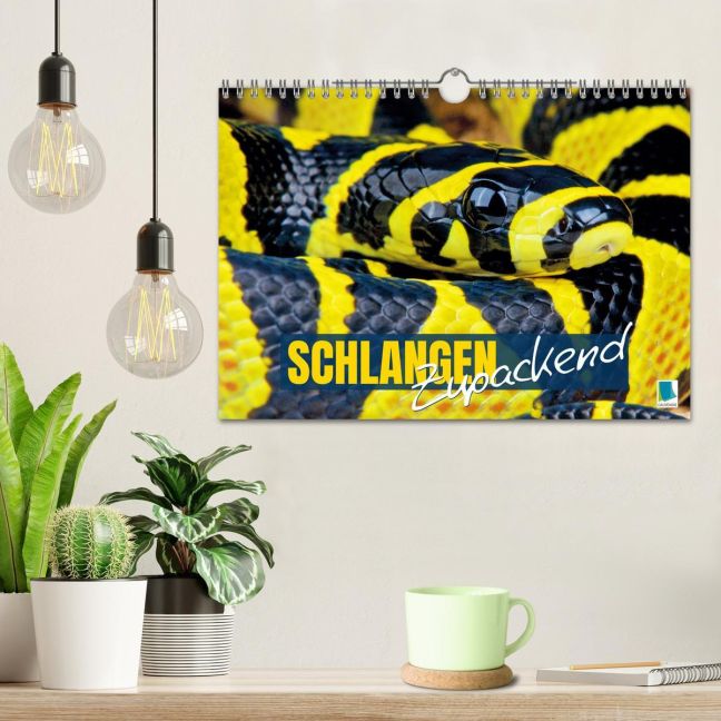 additionalImage1