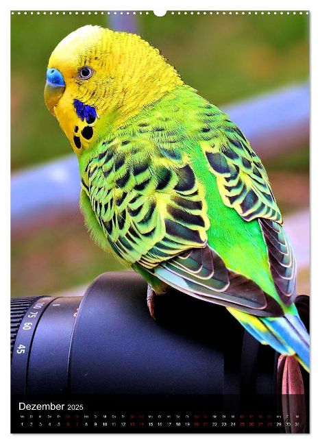additionalImage4