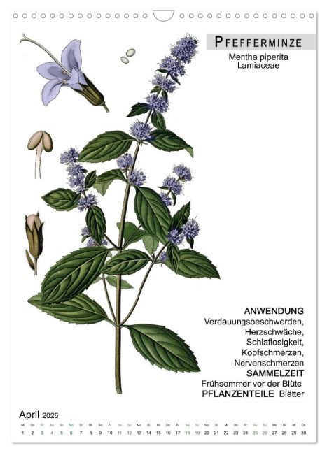 additionalImage9