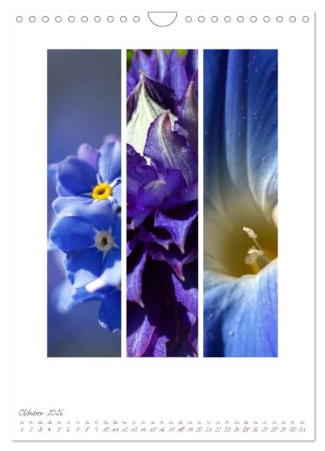 additionalImage2