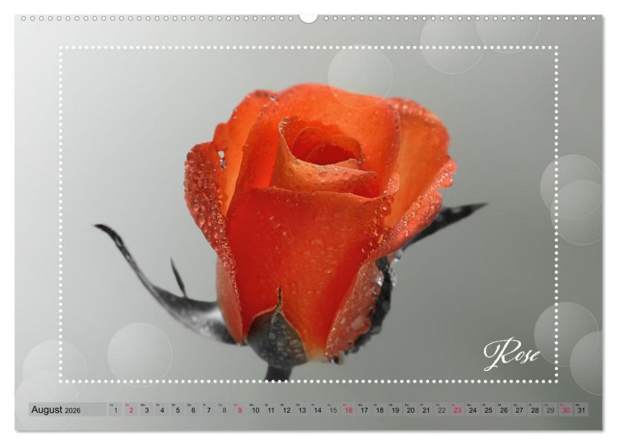 additionalImage12