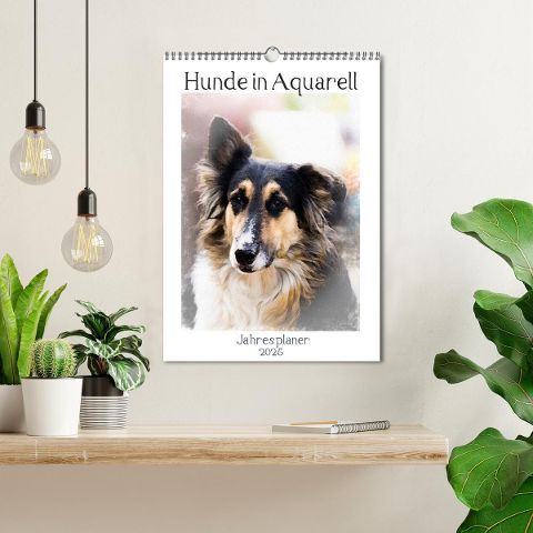 additionalImage1