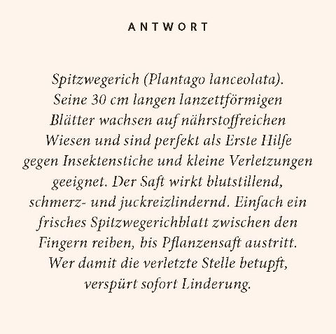 additionalImage2