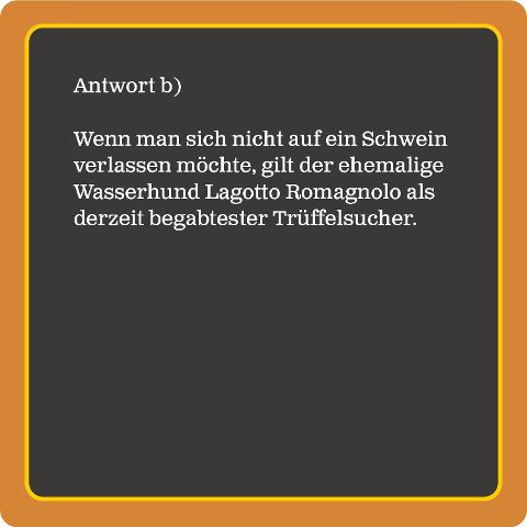 additionalImage2