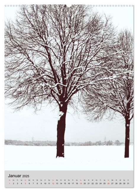 additionalImage5