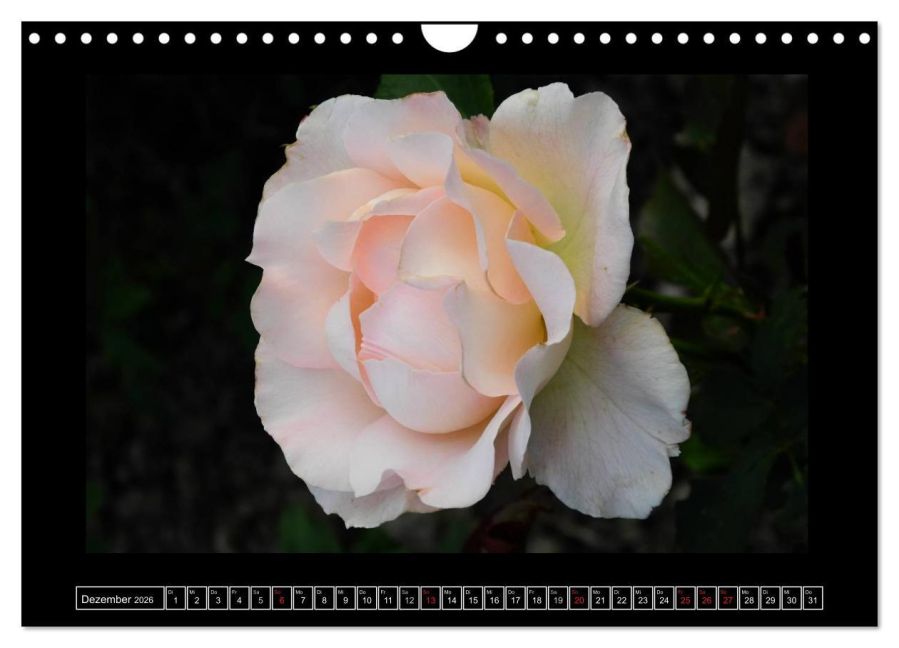 additionalImage4