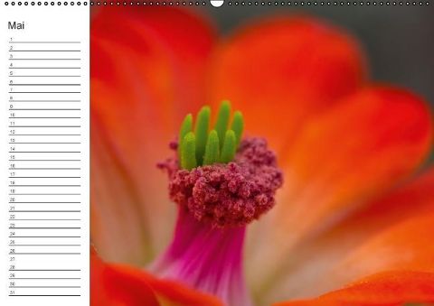 additionalImage5
