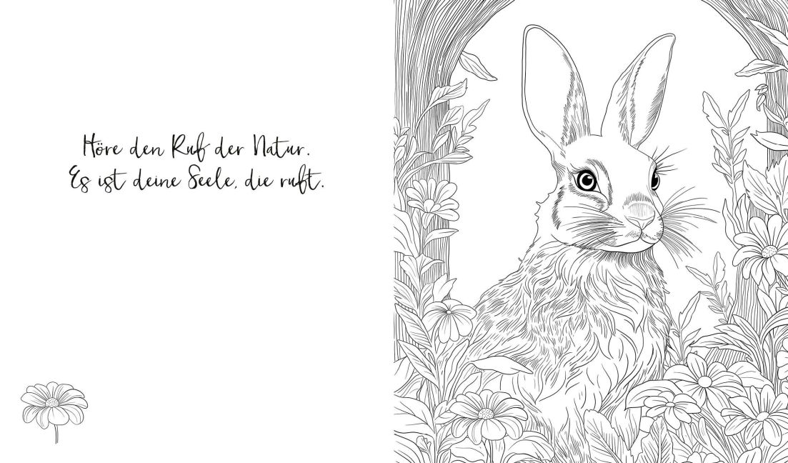 additionalImage6