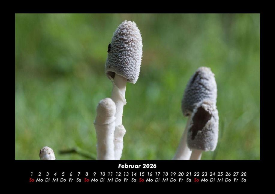 additionalImage6