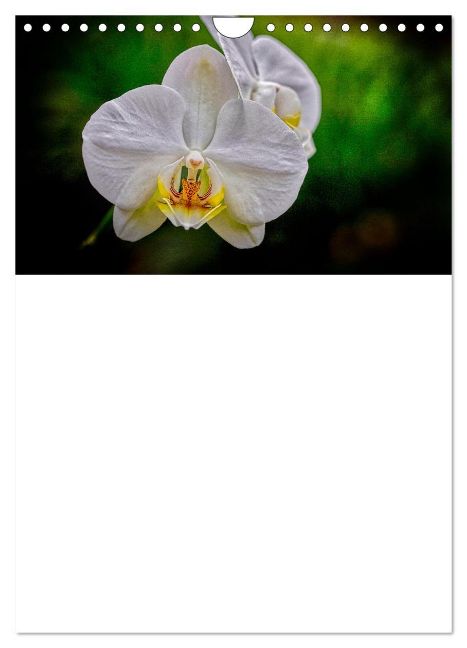additionalImage6