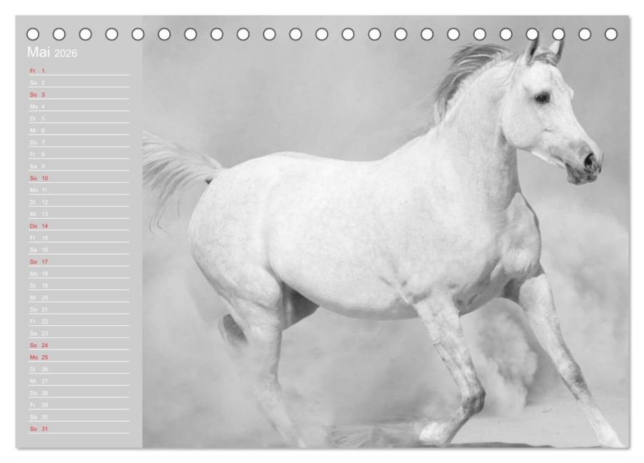 additionalImage10
