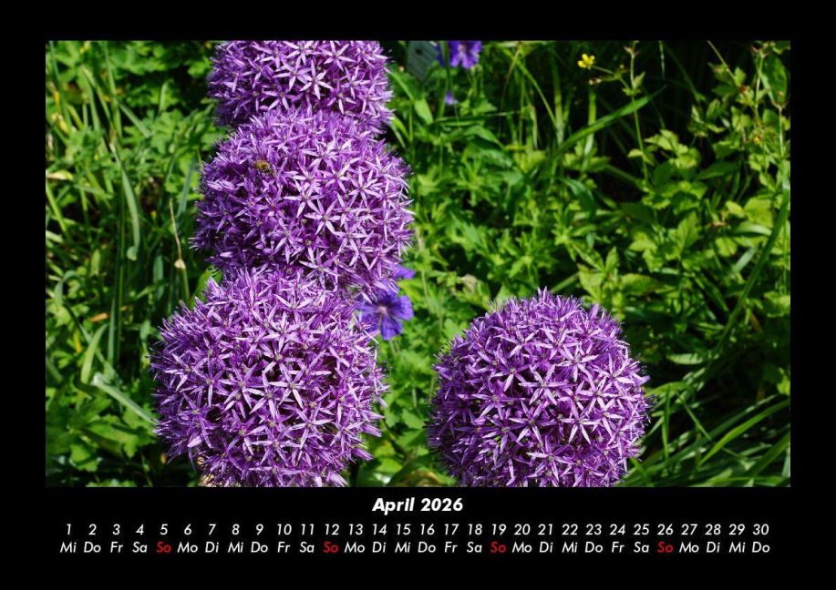 additionalImage8