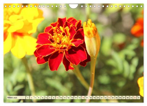additionalImage5