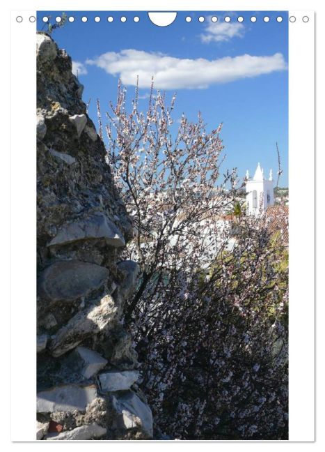 additionalImage12