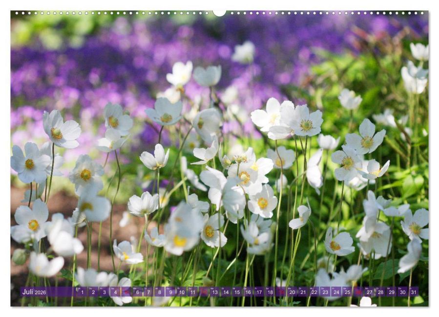 additionalImage12