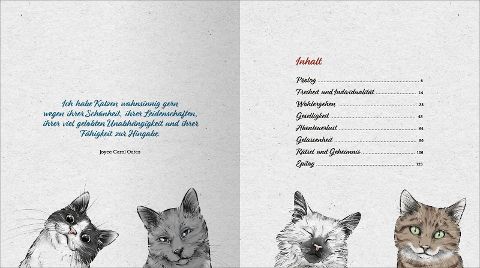 additionalImage2