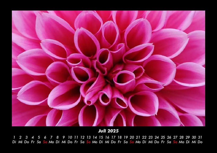 additionalImage11