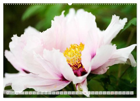 additionalImage6
