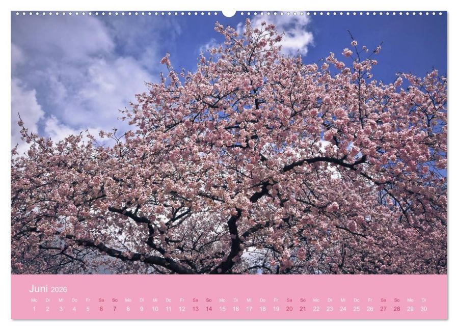 additionalImage11