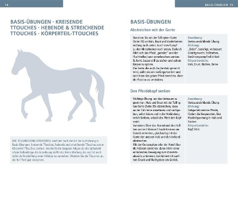 additionalImage2