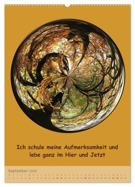 additionalImage14