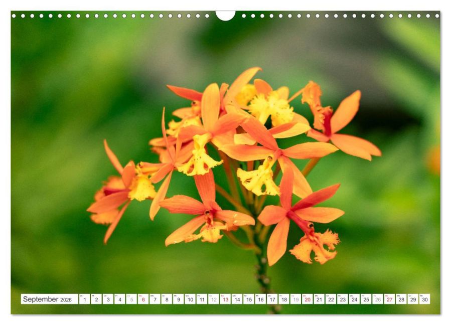 additionalImage14