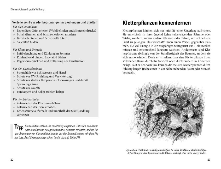 additionalImage1