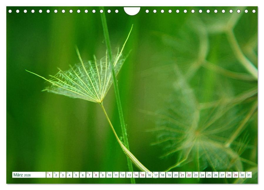 additionalImage8