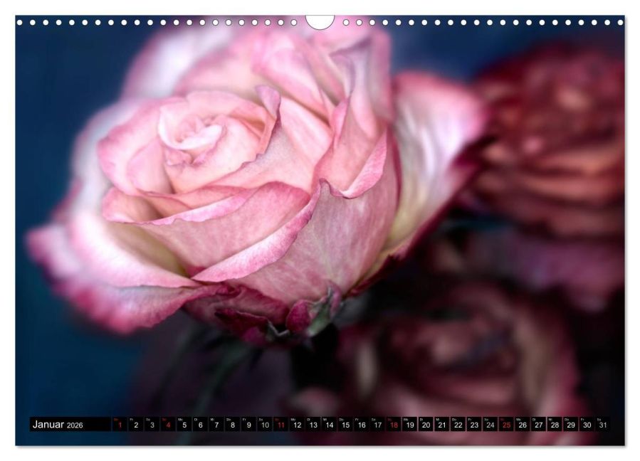 additionalImage6