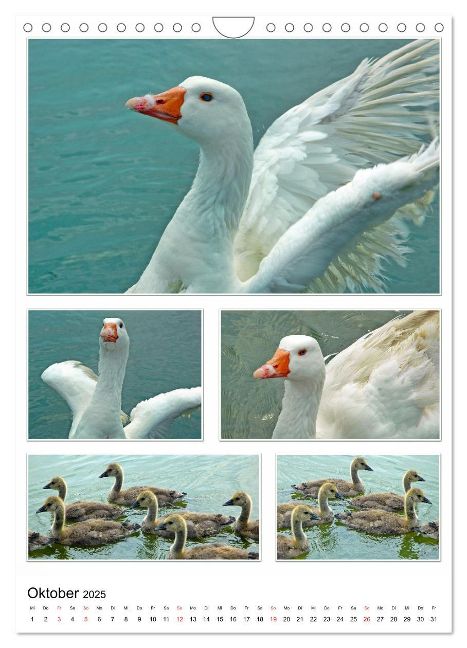 additionalImage2