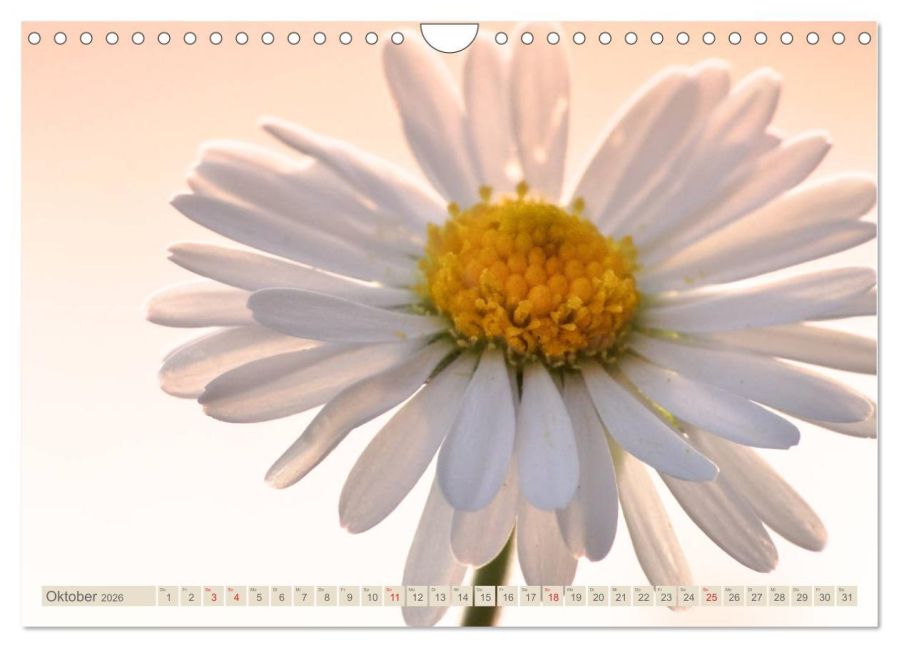 additionalImage2