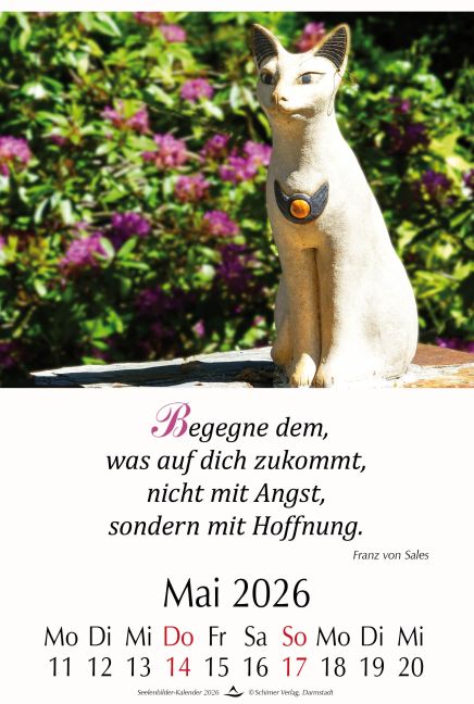 additionalImage2