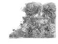 Bildprobe 2