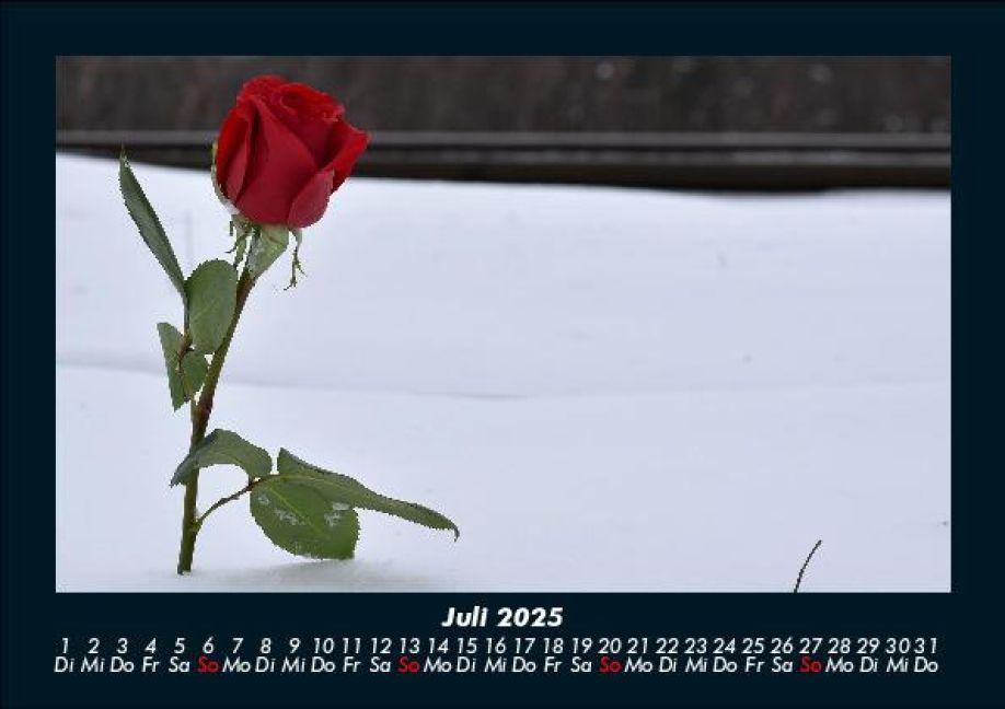 additionalImage11