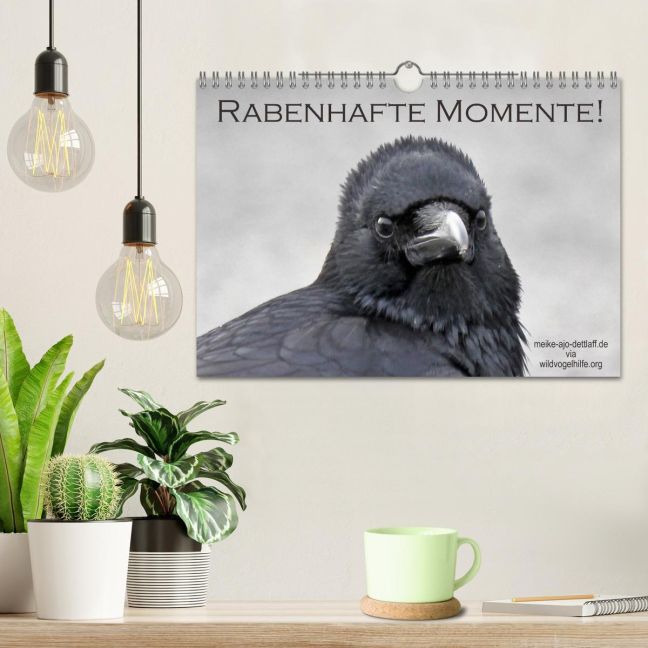 additionalImage1