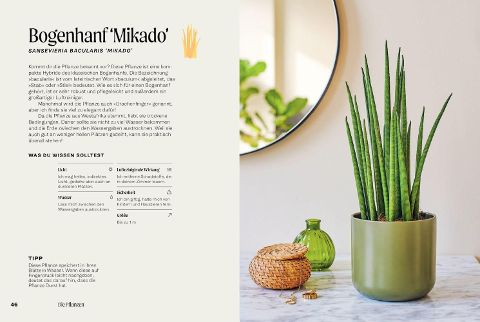 additionalImage4