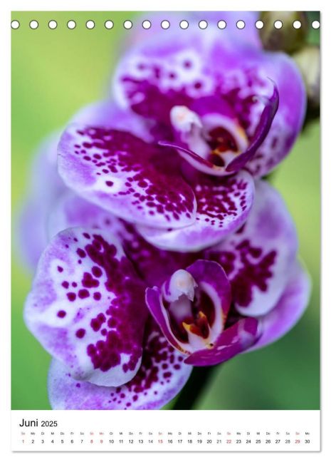 additionalImage11