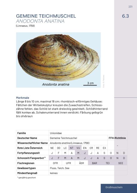 additionalImage14