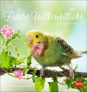 Cover-Bild zum Titel 'Freche Wellensittiche Postkartenkalender 2027' von ''
