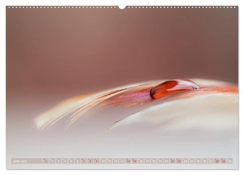 additionalImage11