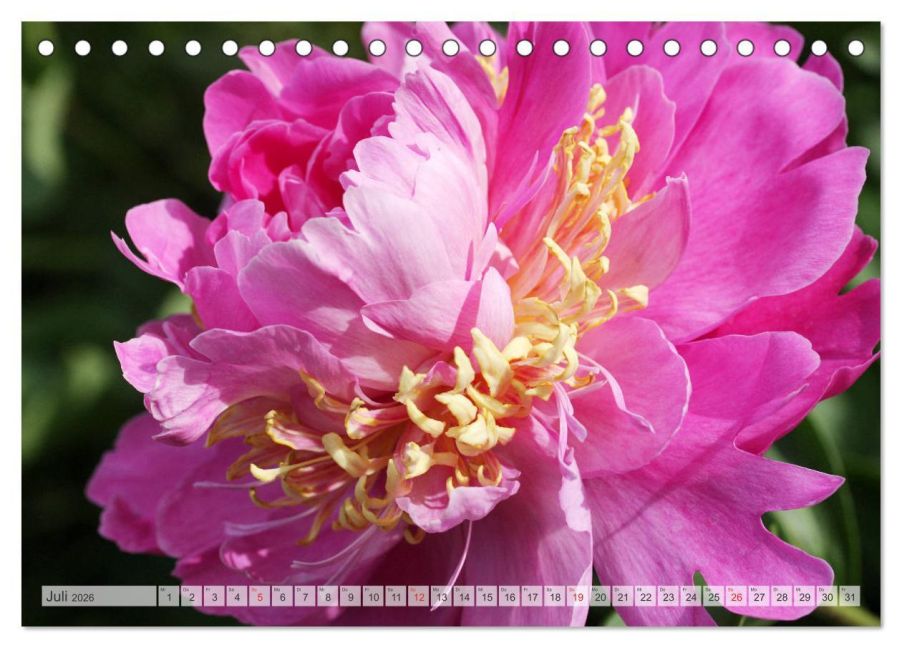 additionalImage12